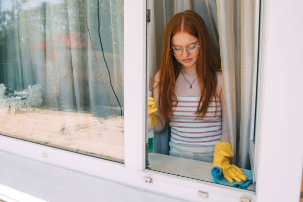 Window Installation & Cleaning